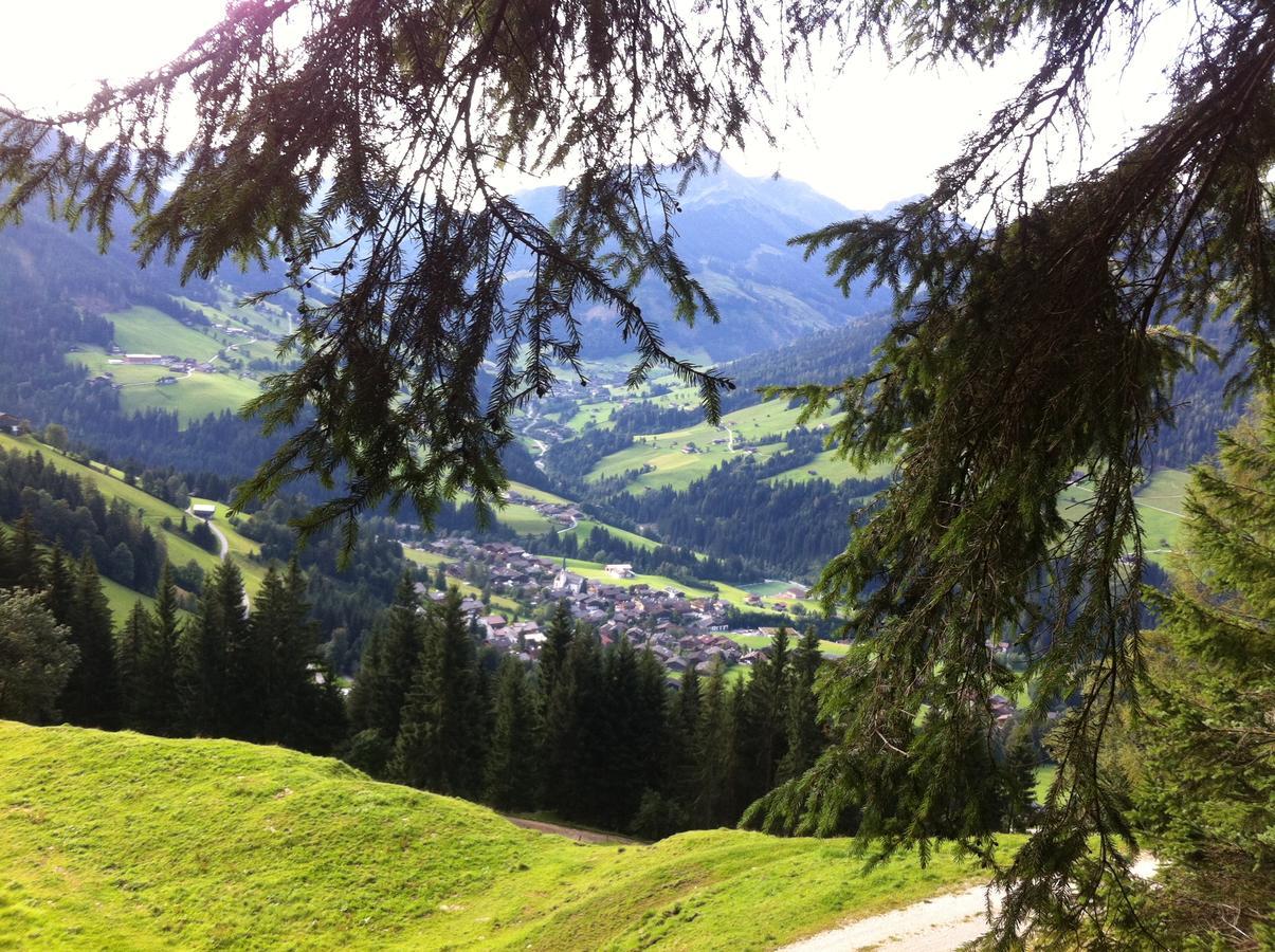Aparthaus Hubertus Apartment Alpbach